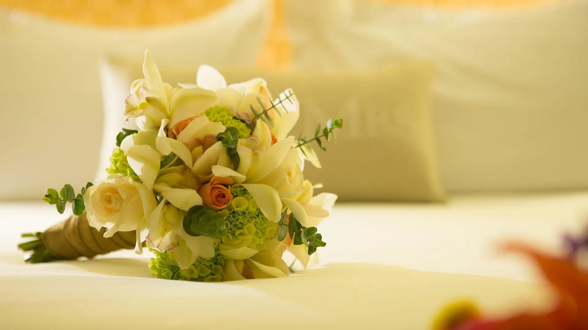 Movich Hotel Cartagena De Indias 5*,
